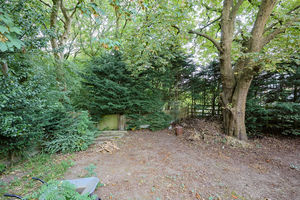 Photo 31- click for photo gallery